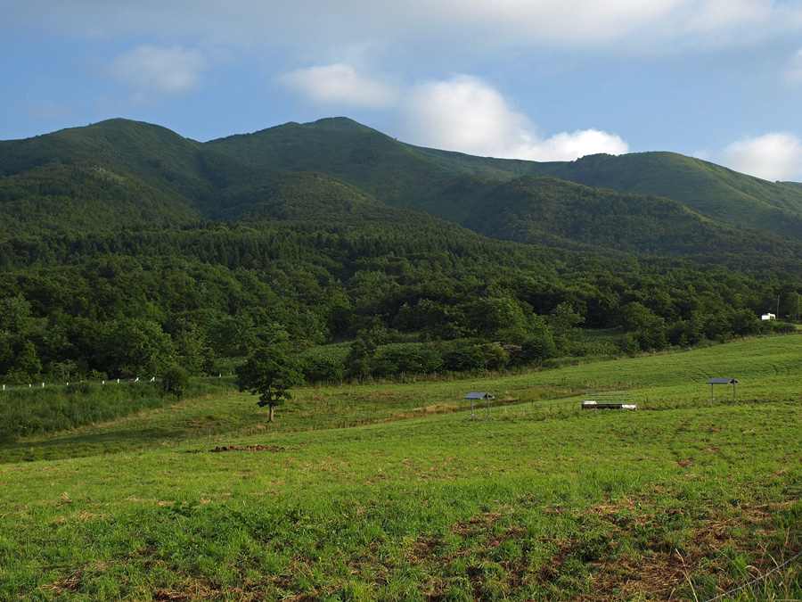 写万部山の天測点　　2010.8.14_f0200402_21113360.jpg