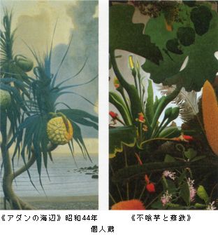 田中一村　色紙 田中一村の色紙発見 鹿児島・奄美の寺に8枚 「昭和35年頃、画ノ