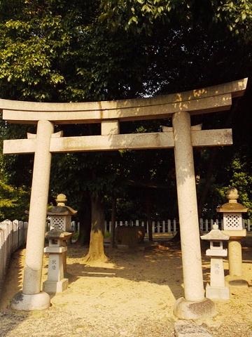 c0098304_19534039.jpg
