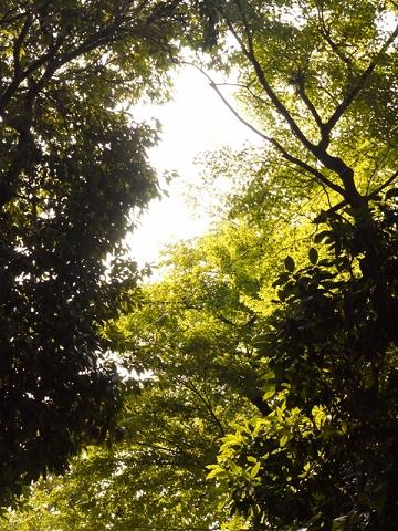 c0098304_19564530.jpg