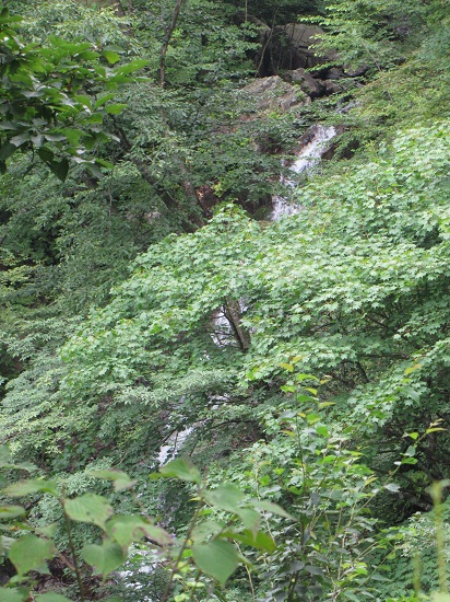 d0177108_18544264.jpg