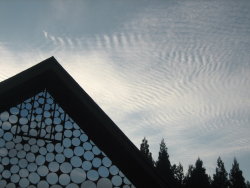 e0128212_22591768.jpg
