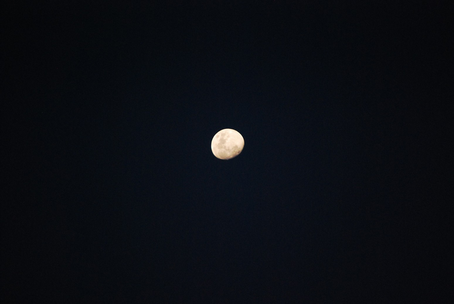 b0165317_23335950.jpg