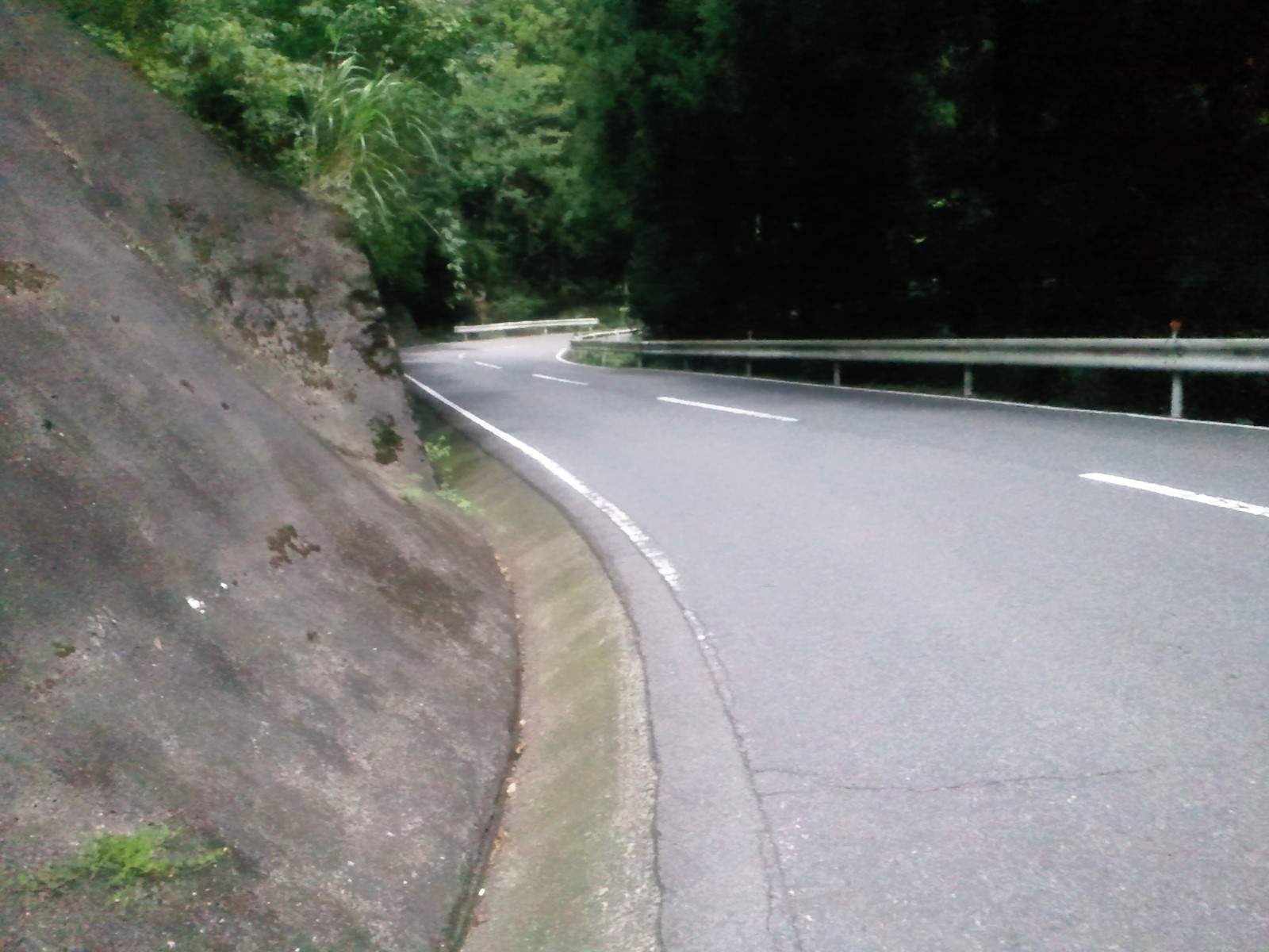 立山に向けての最後のひと叩き！　ぐるり高野山編！_a0036424_1811392.jpg