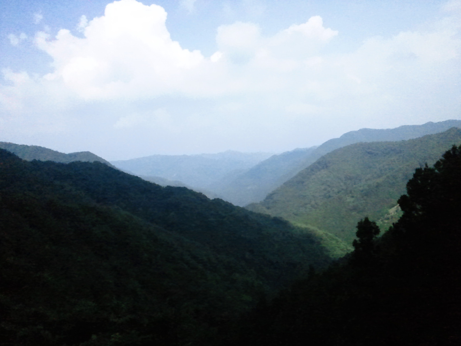 立山に向けての最後のひと叩き！　ぐるり高野山編！_a0036424_1816294.jpg