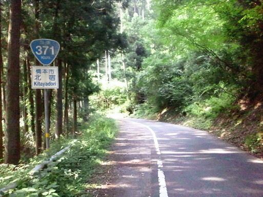 立山に向けての最後のひと叩き！　ぐるり高野山編！_a0036424_18352133.jpg