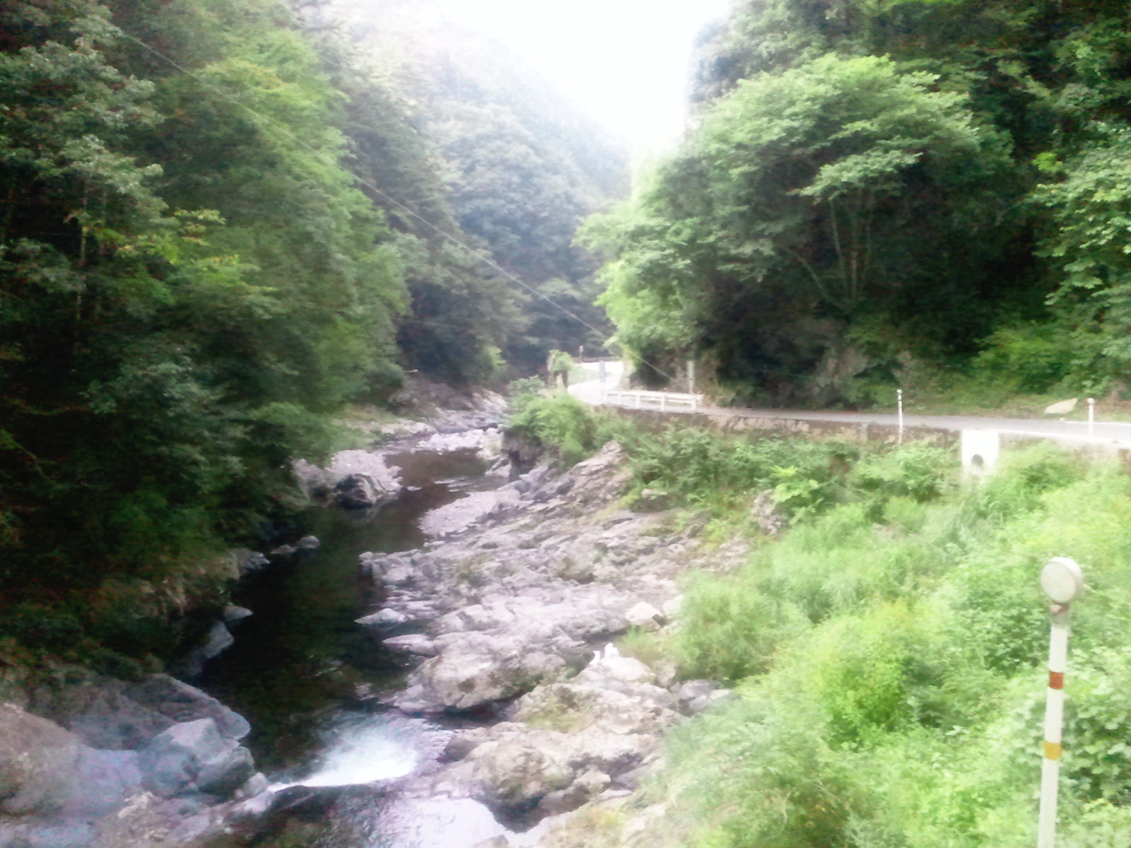 立山に向けての最後のひと叩き！　ぐるり高野山編！_a0036424_1836847.jpg