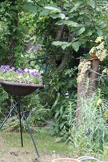 f0170524_11512686.jpg