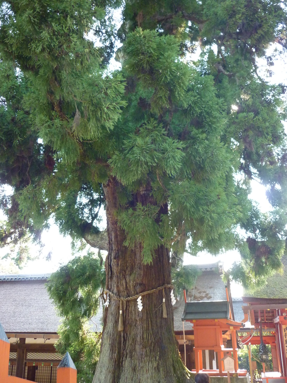 c0020127_0361950.jpg