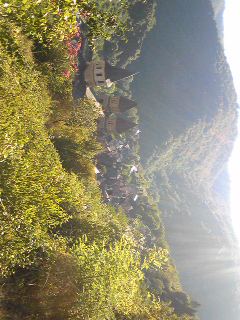 c0039428_3169.jpg