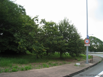 c0134734_144313.jpg