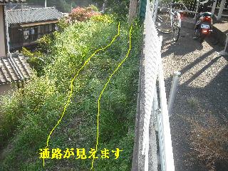 草刈りの現場下見_f0031037_20244887.jpg