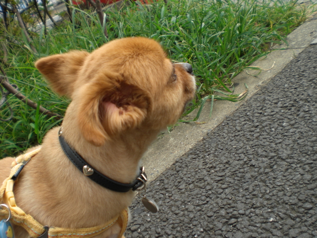 d0169340_1471848.jpg