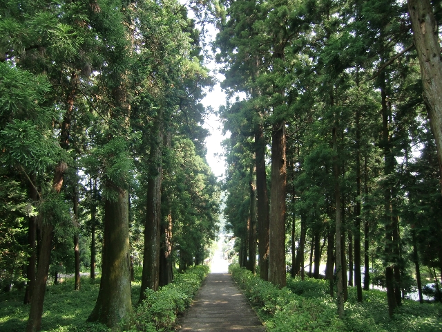 c0122445_17365235.jpg