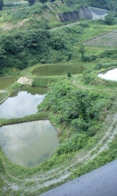 c0134145_20443131.jpg