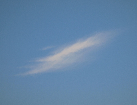 d0152549_6343395.jpg