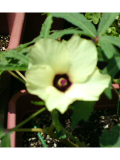 c0115560_22423144.jpg