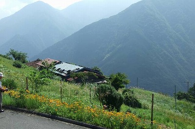 b0199167_20153165.jpg