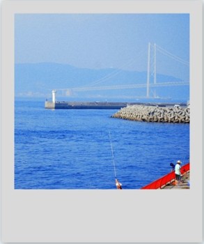 須磨の海釣り公園_b0165872_20545446.jpg