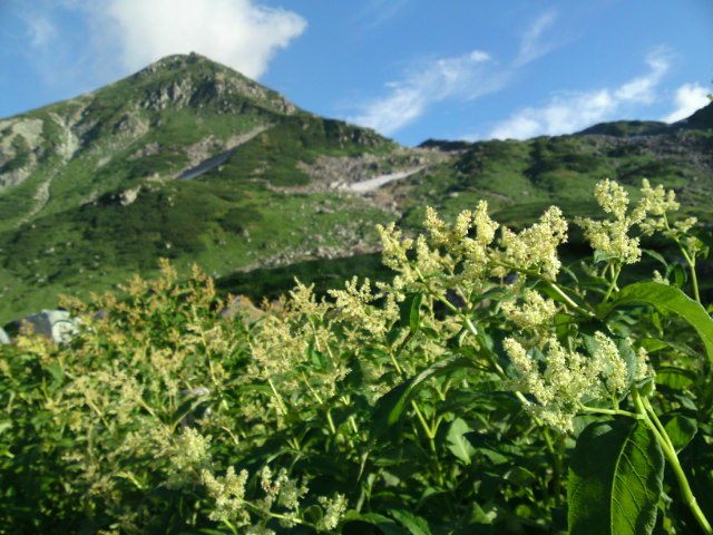 山に登ってきた！_e0171573_17164118.jpg