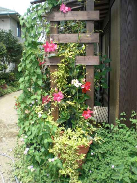 b0157276_21434056.jpg