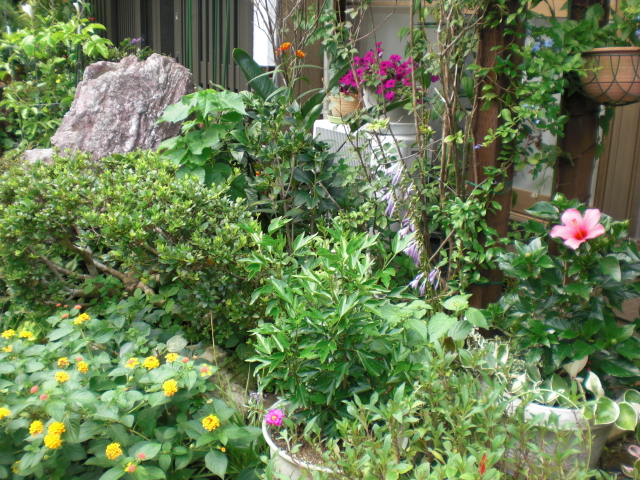 b0157276_21551679.jpg