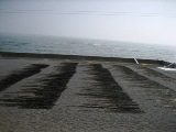 b0097183_13305521.jpg