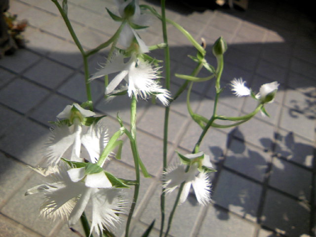 b0135992_1452338.jpg