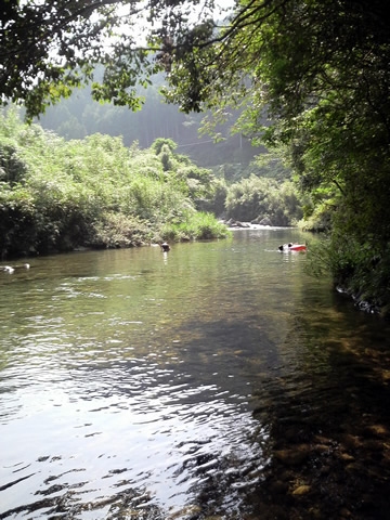 b0067598_21342392.jpg