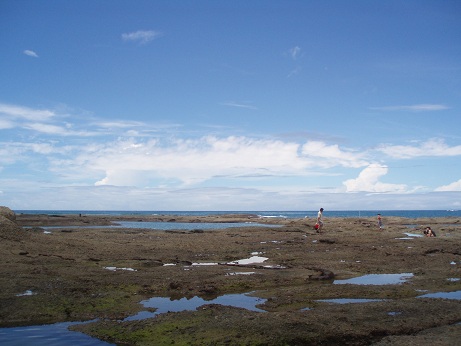 e0106098_23195323.jpg