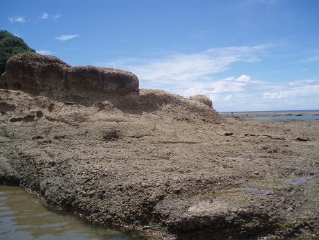 e0106098_23202935.jpg