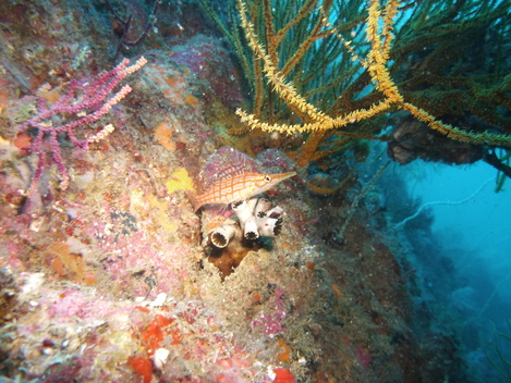 e0115199_1342493.jpg