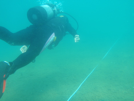 e0115199_13544286.jpg