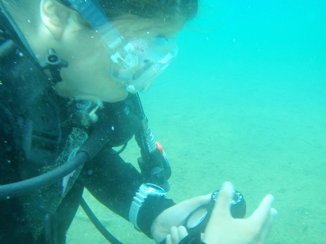 e0115199_1433175.jpg
