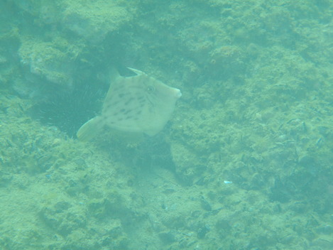 e0115199_149541.jpg