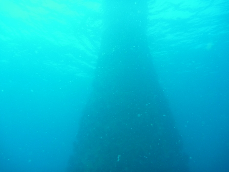 e0115199_15205012.jpg