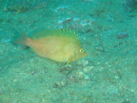 e0115199_15232949.jpg