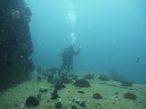 e0115199_15254312.jpg