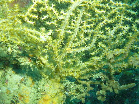 e0115199_15302414.jpg