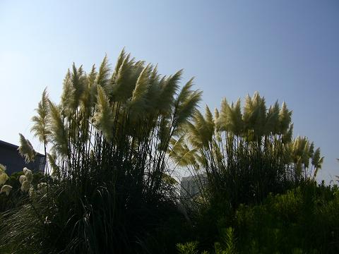 b0112909_20131533.jpg