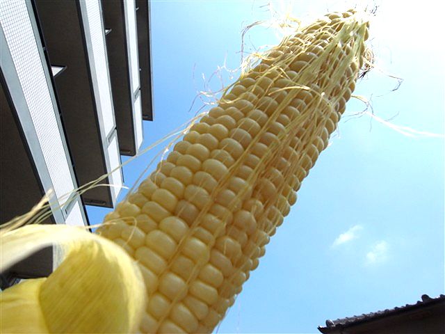 タイムリミット_c0116714_23253910.jpg