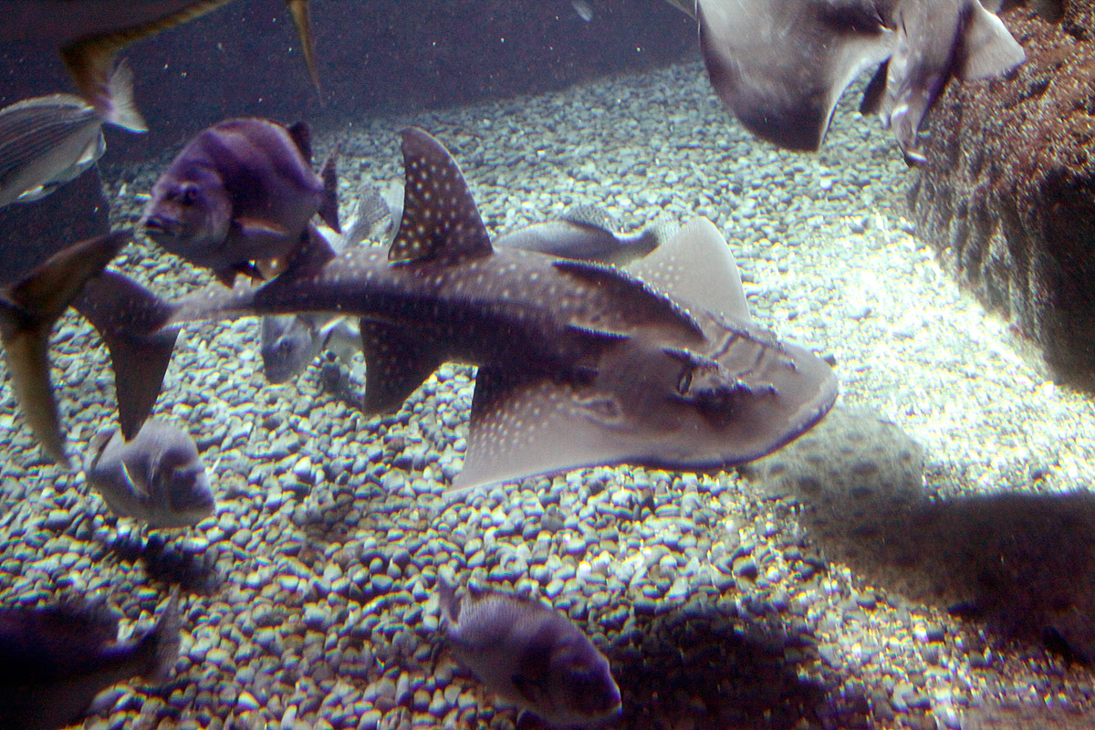 f0060717_14712.jpg