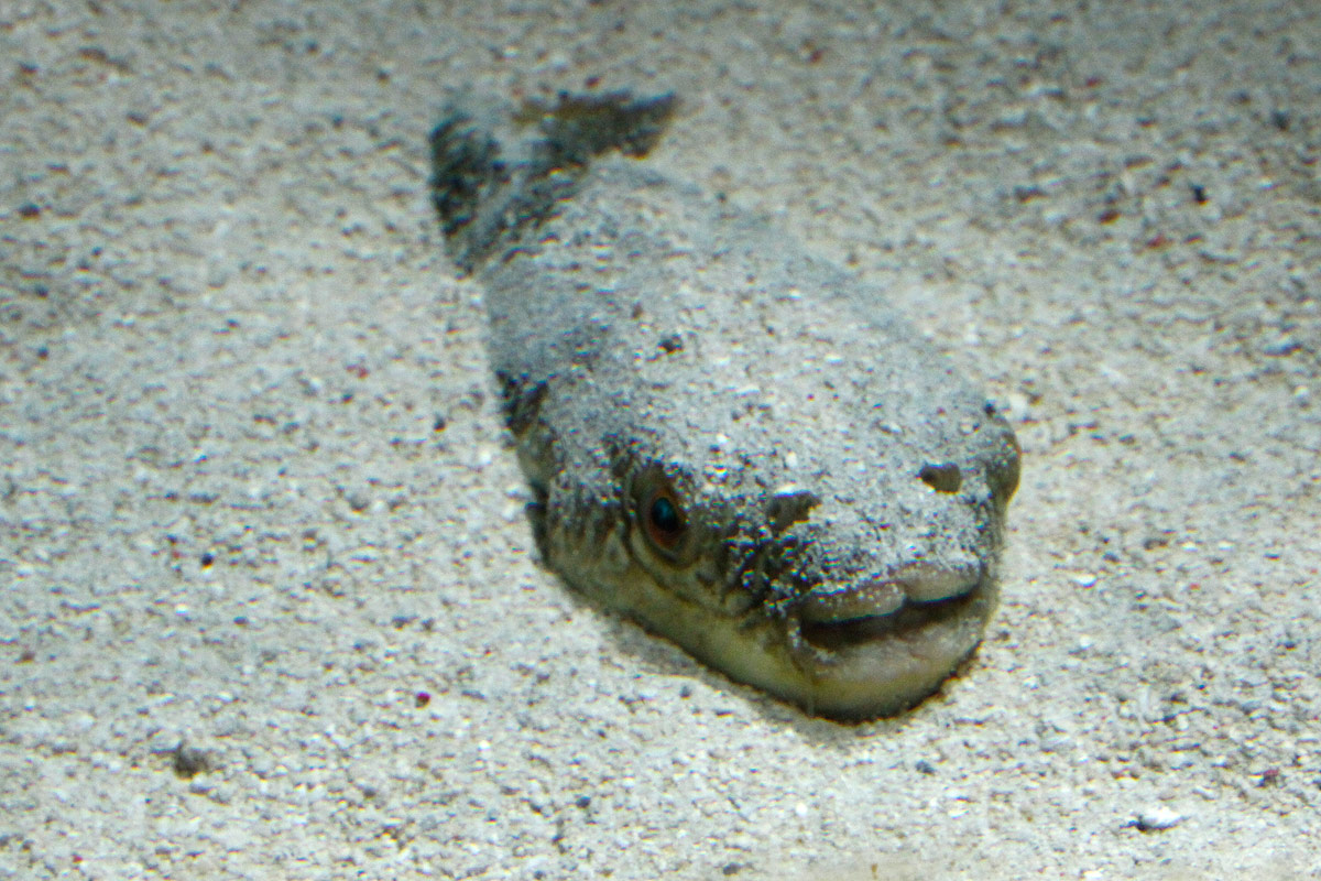 f0060717_1534833.jpg