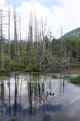 夏の上高地の風景_a0040021_16433886.jpg