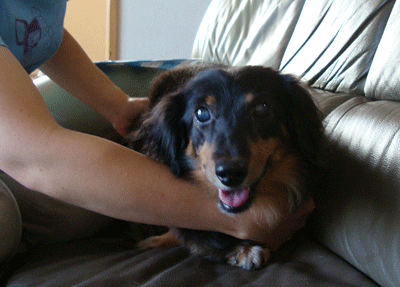 f0232522_13145182.gif