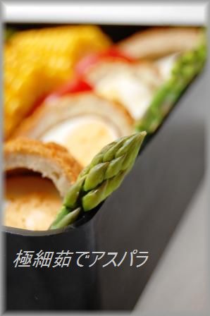 鮭とオクラのしそ生姜おにぎり & お弁当_d0104926_1153448.jpg