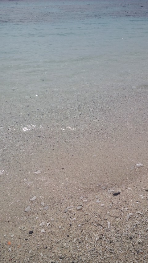 c0045730_0325232.jpg