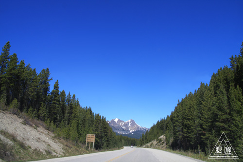 062 Peyto Lake ～空より青い湖～_c0211532_7554898.jpg