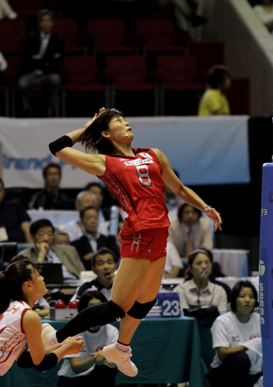 FIVBワールドグランプリ2010 　～日本×オランダ～_a0163833_20371743.jpg