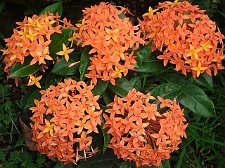 f0039933_2229955.jpg